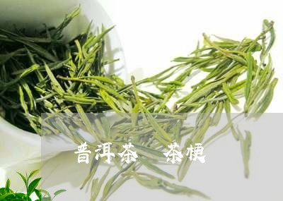 普洱茶 茶梗/2023042905340